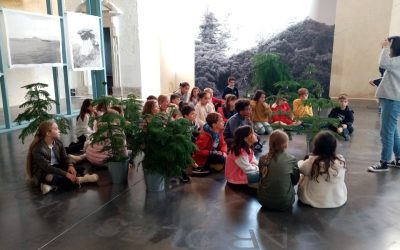 2ème exposition sur Clément Verger à Ancenis