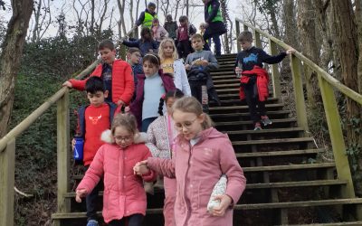 Randonnée aux alentours de Ligné…