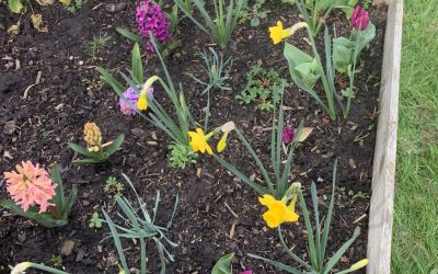 C’est le printemps !