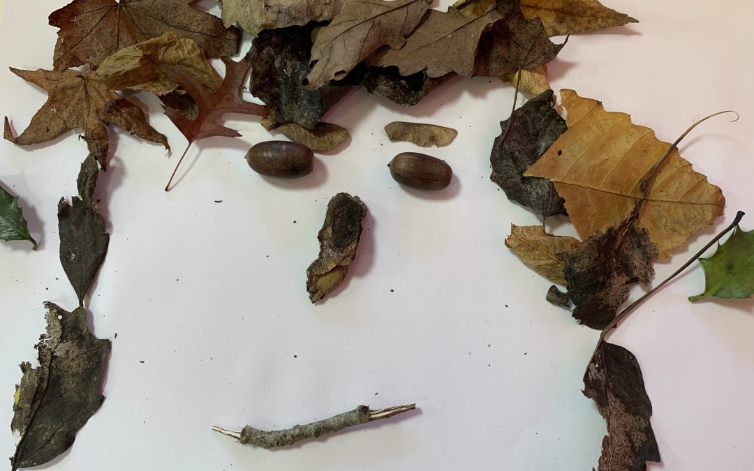 Portraits avec des éléments de la nature