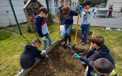 les CM1 au jardin
