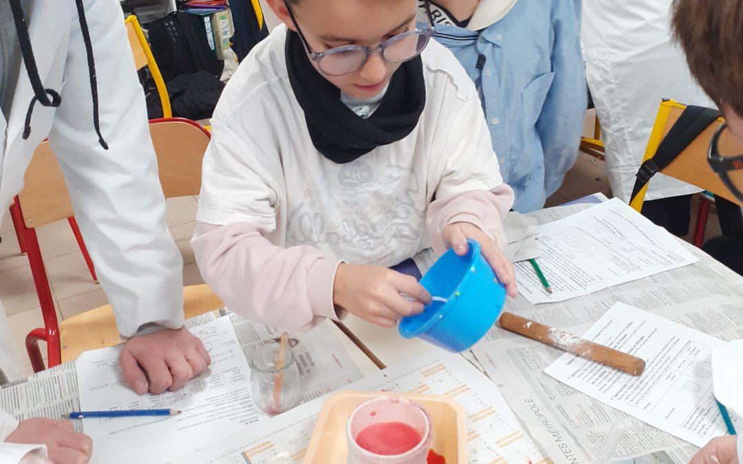 Sciences avec les collégiens