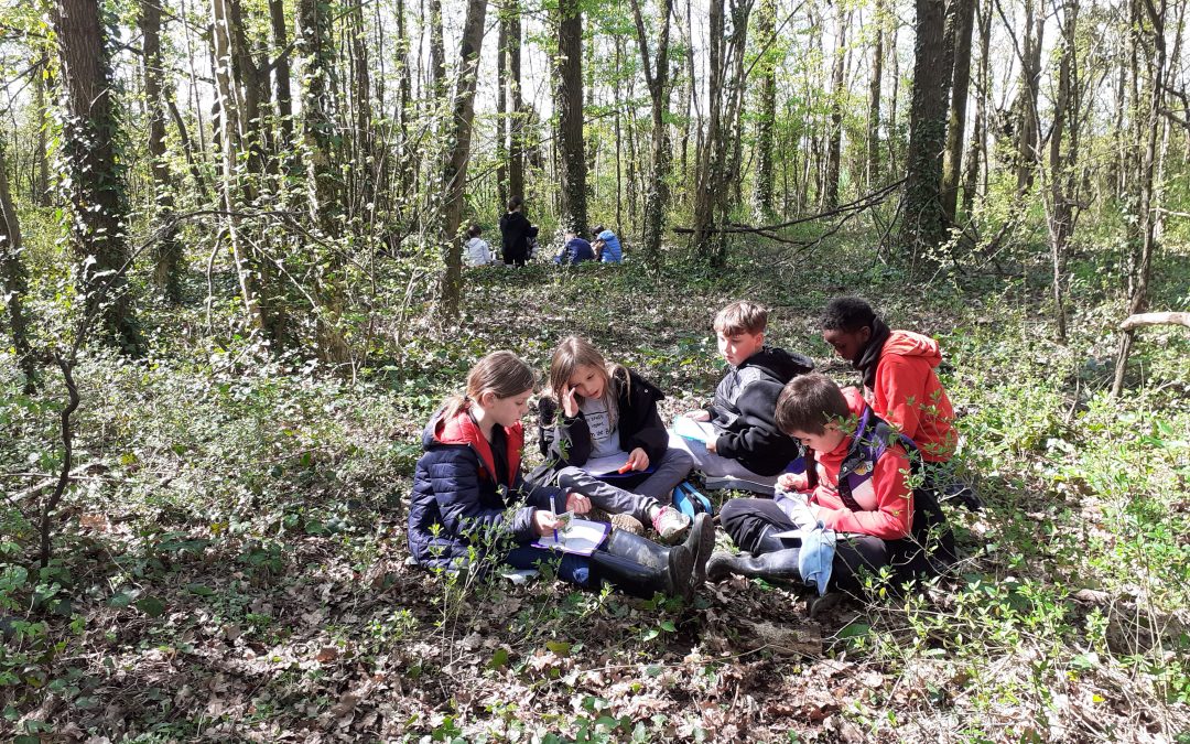 Observer les bourgeons au début du printemps…