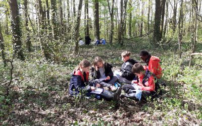 Observer les bourgeons au début du printemps…